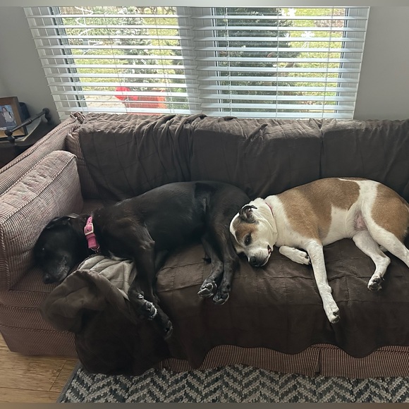 Meet your Posher, Christina - Picture 5 of 5